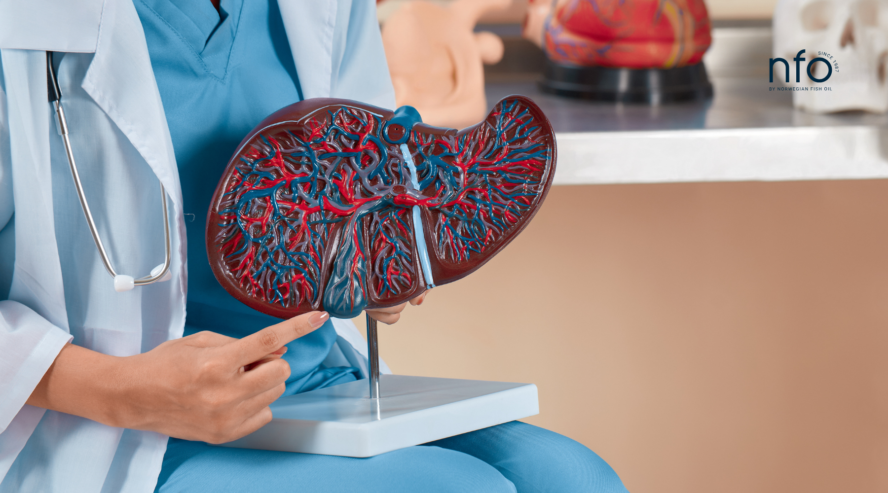 TUDCA: The Bile Acid Supplement for Liver Support and Overall Health