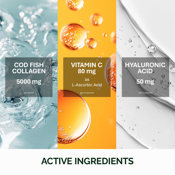 Collagen biển