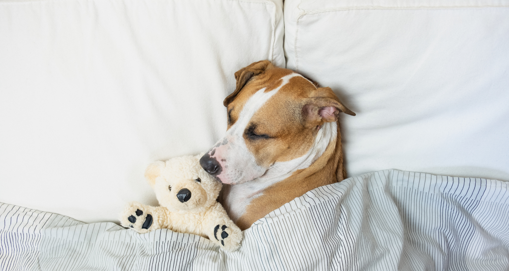 Magnesium Glycinate: sleep, stress and daily use guide