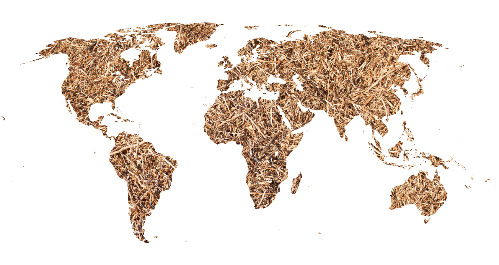Hidden nutrition pandemic 2025: are OECD countries facing widespread nutrient gaps?
