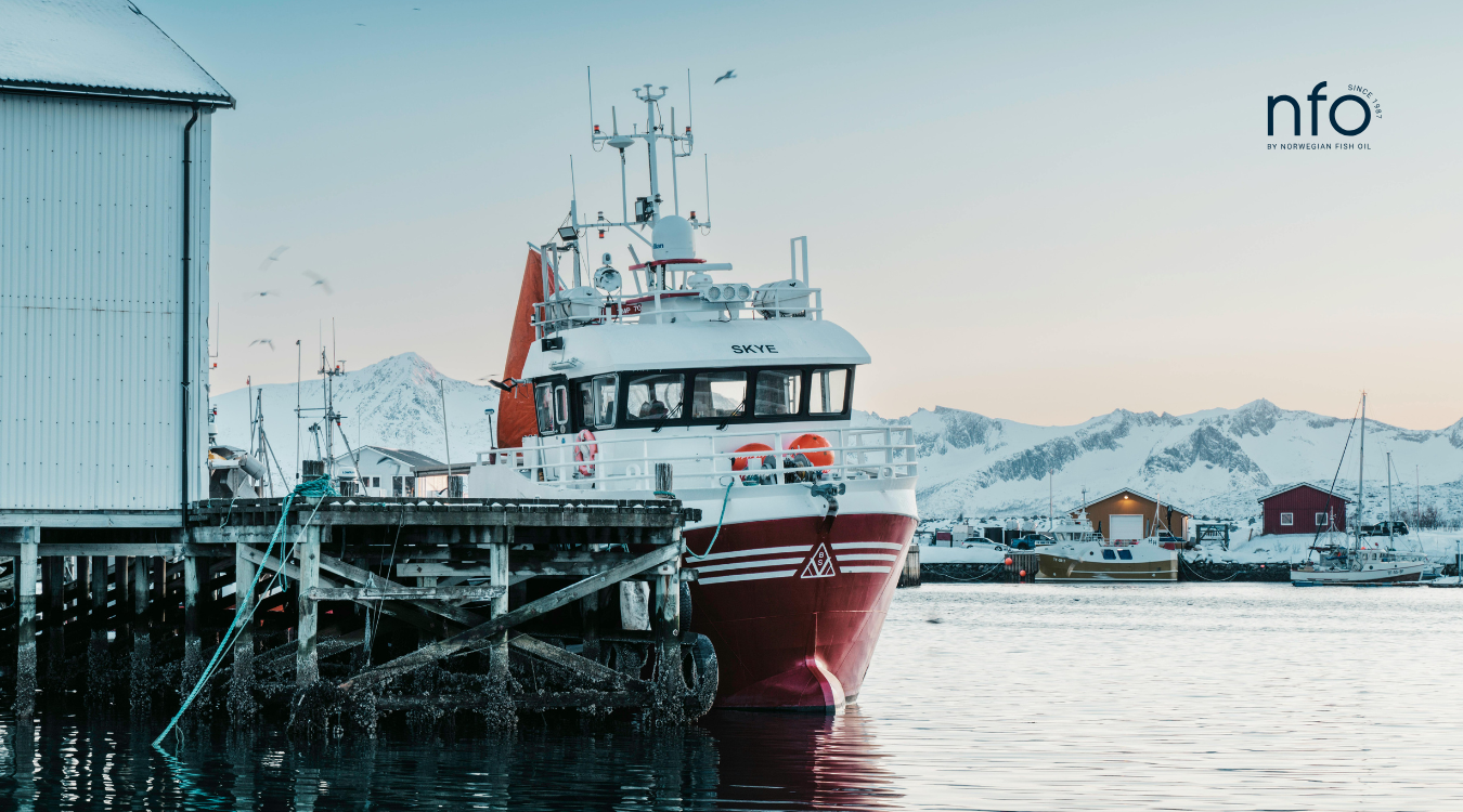 From boat to bottle: a comprehensive omega-3 fish oil guide (European perspective)