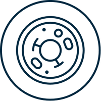 Микробиологическая безопасность