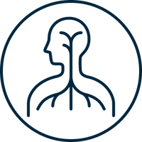 НАТУРАЛЬНАЯ ТРИГЛИЦЕРИДНАЯ ФОРМА